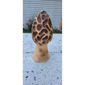 Vintage‎ Concrete Morel Mushroom Garden Statue Rustic Outdoor Decor 9 Inch